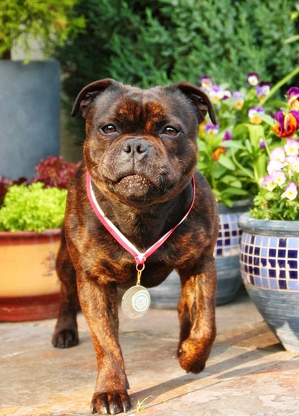 STAFFIK Celina